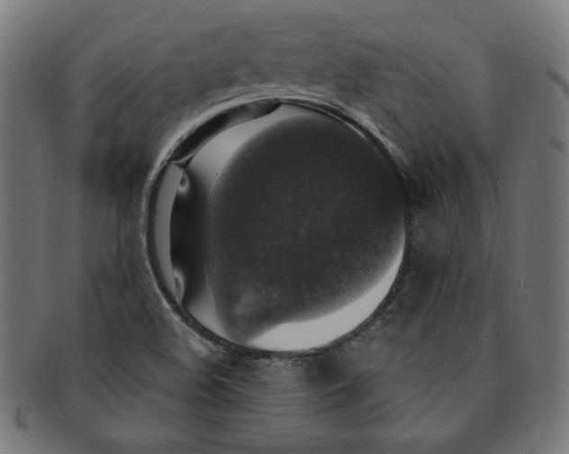 X0000091201508200709061403