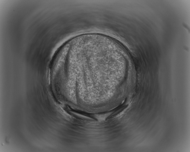 X0000091201510200709061403