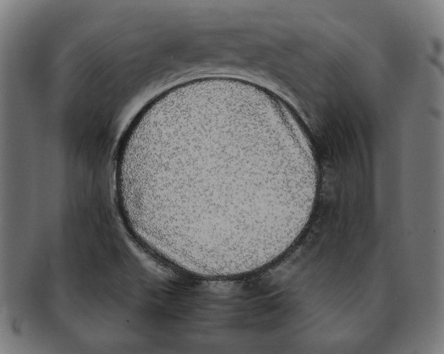 X0000091201511200709061403