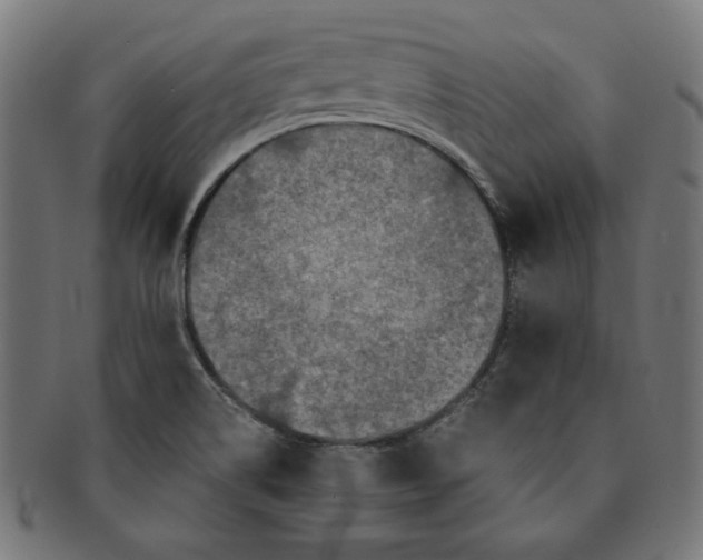 X0000091201514200709061403