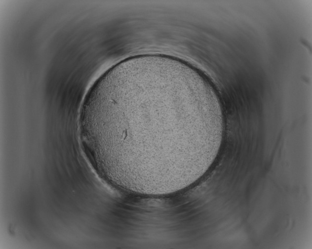 X0000091201517200709061403