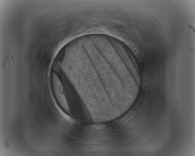 X0000091201519200709061403