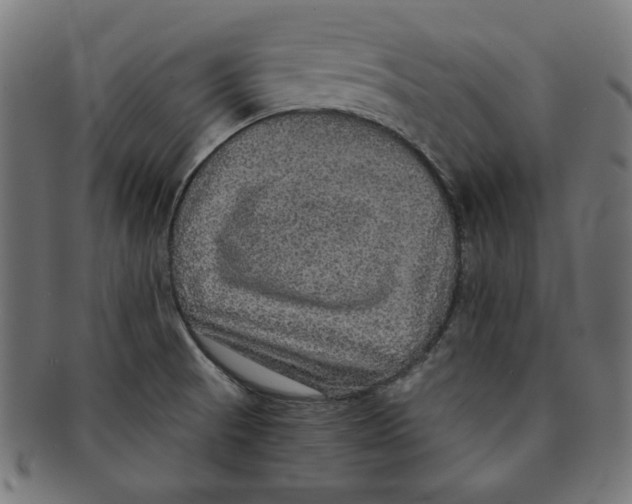X0000091201521200709061403