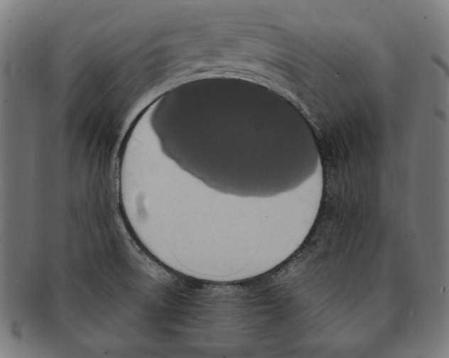 X0000091201522200709061403