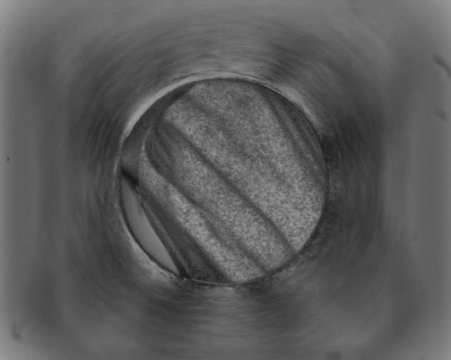 X0000091201524200709061403