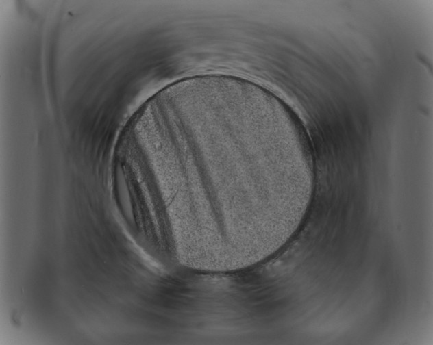 X0000091201525200709061403