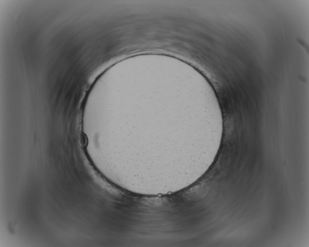 X0000091201526200709061403