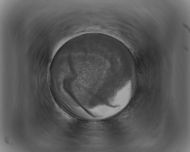 X0000091201527200709061403