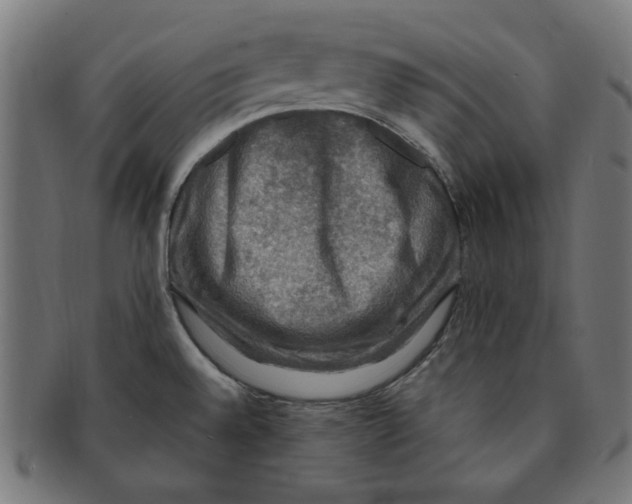 X0000091201528200709061403