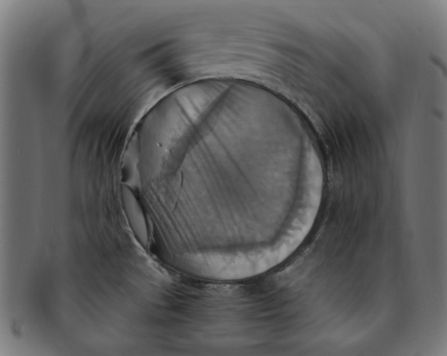 X0000091201529200709061403