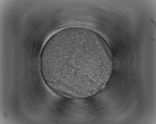 X0000091201531200709061403