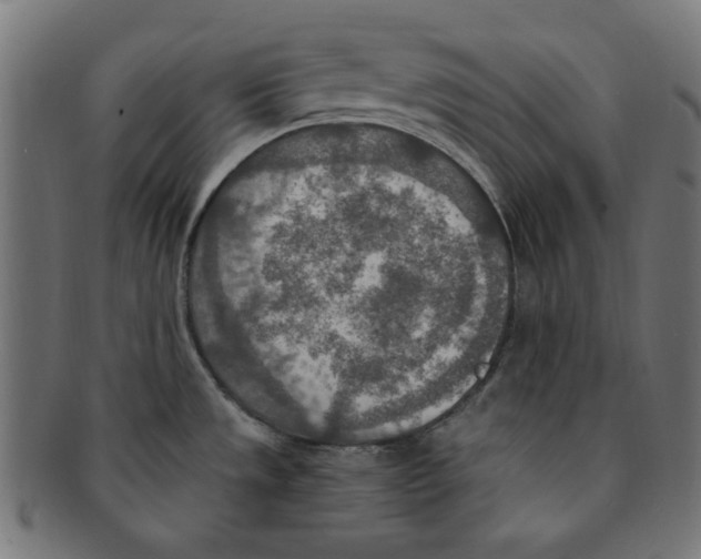 X0000091201533200709061403