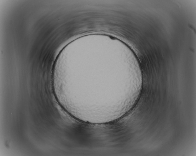 X0000091201534200709061403
