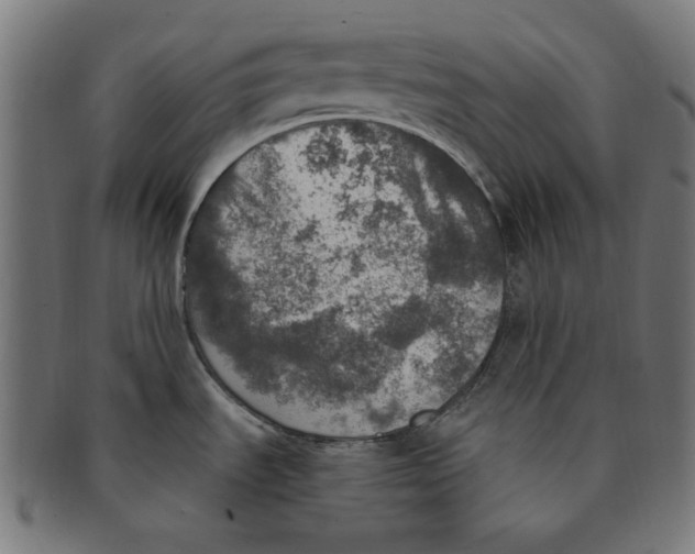 X0000091201535200709061403