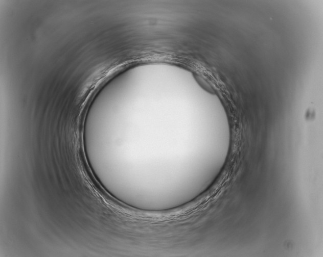 X0000091210002200708091125