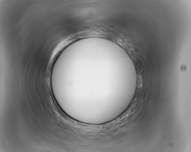 X0000091210004200708091125