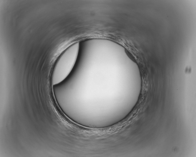 X0000091210005200708091125