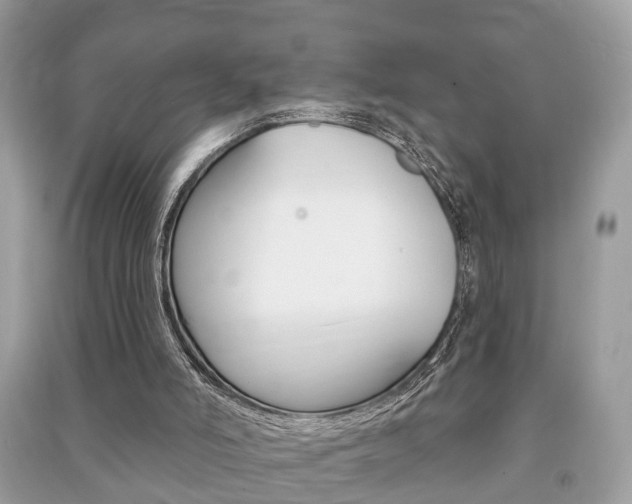 X0000091210006200708091125