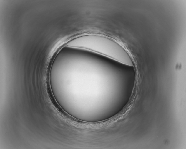 X0000091210007200708091125