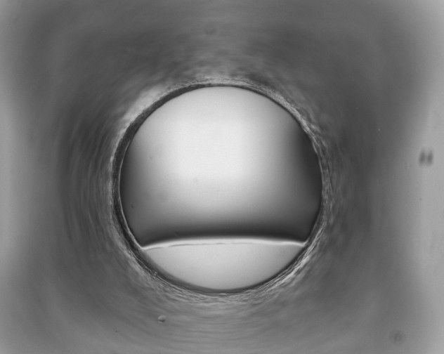 X0000091210008200708091125