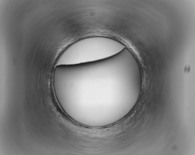 X0000091210010200708091125