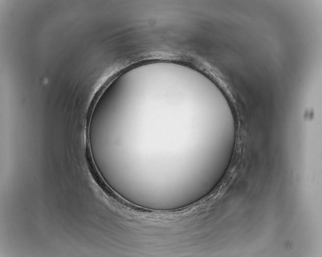 X0000091210011200708091125