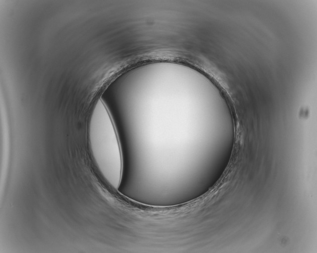 X0000091210013200708091125