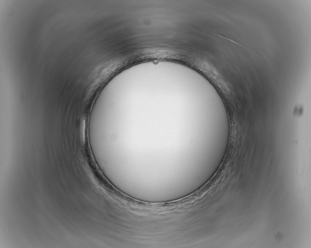 X0000091210014200708091125