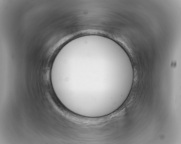 X0000091210016200708091125
