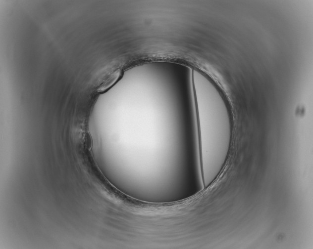 X0000091210017200708091125