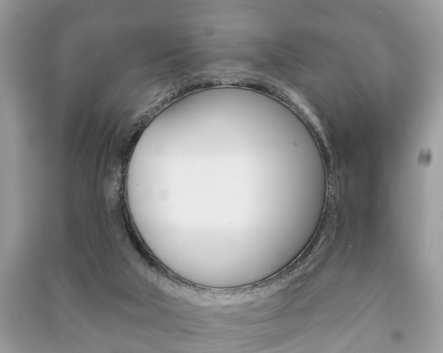 X0000091210018200708091125