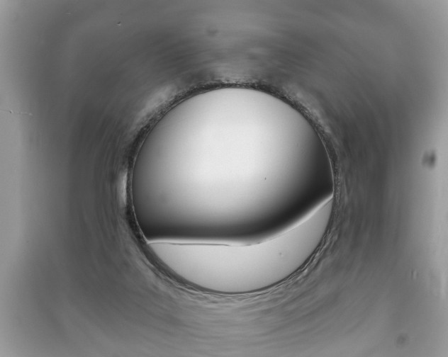 X0000091210019200708091125