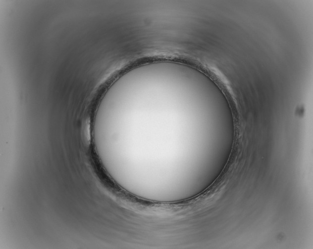 X0000091210020200708091125