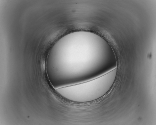 X0000091210021200708091125