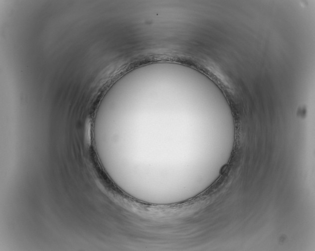 X0000091210022200708091125