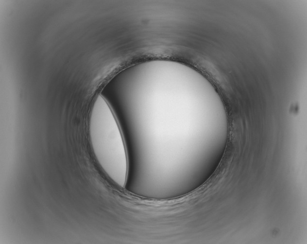 X0000091210023200708091125