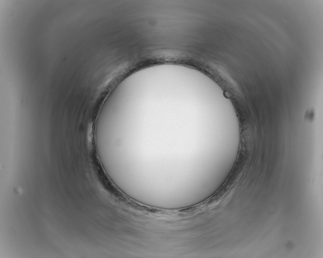X0000091210024200708091125