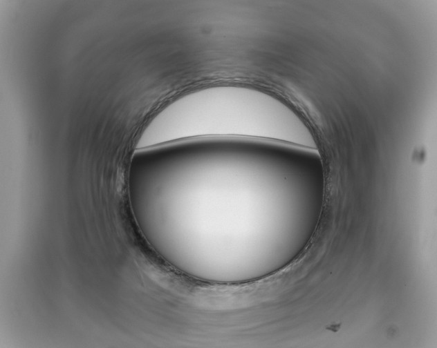 X0000091210025200708091125
