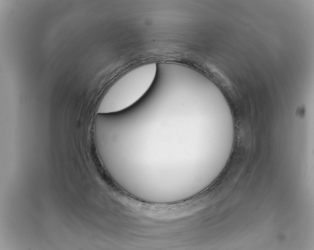 X0000091210026200708091125