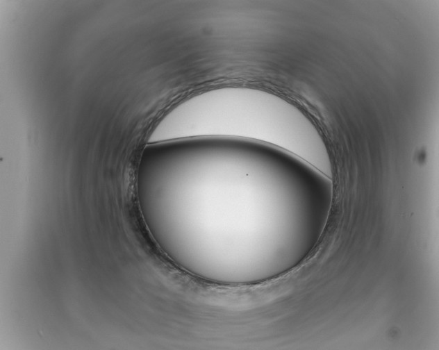 X0000091210029200708091125