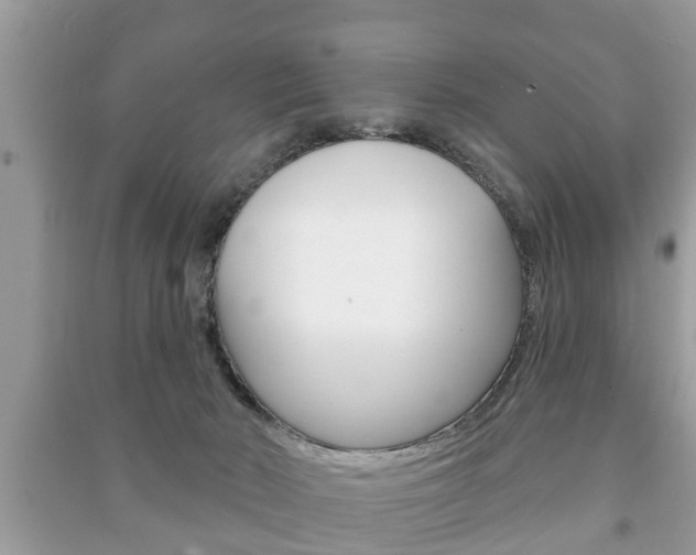 X0000091210030200708091125