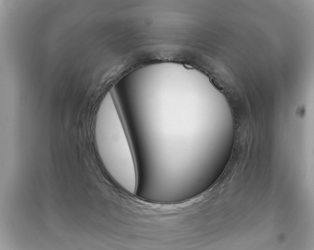 X0000091210031200708091125