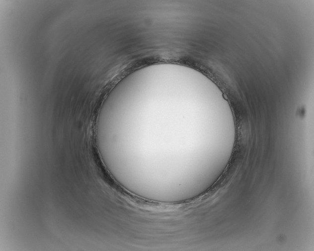 X0000091210032200708091125