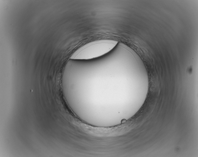 X0000091210034200708091125