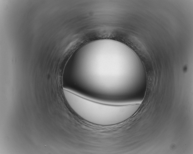 X0000091210035200708091125