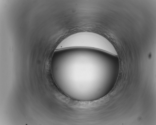 X0000091210037200708091125
