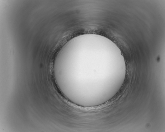 X0000091210038200708091125