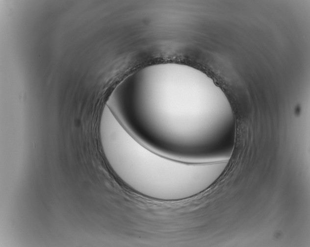 X0000091210039200708091125
