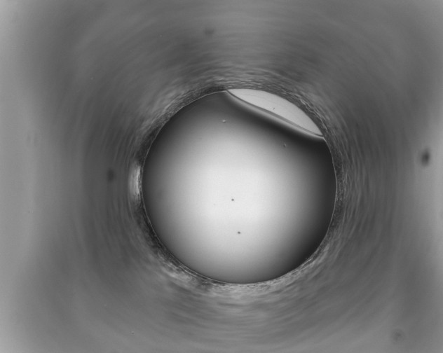 X0000091210041200708091125