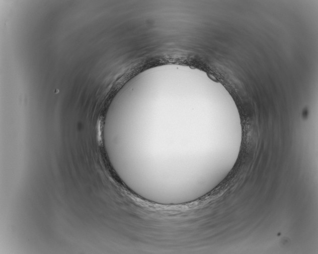 X0000091210042200708091125
